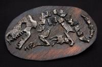 Dinosaur Fossil Ornament